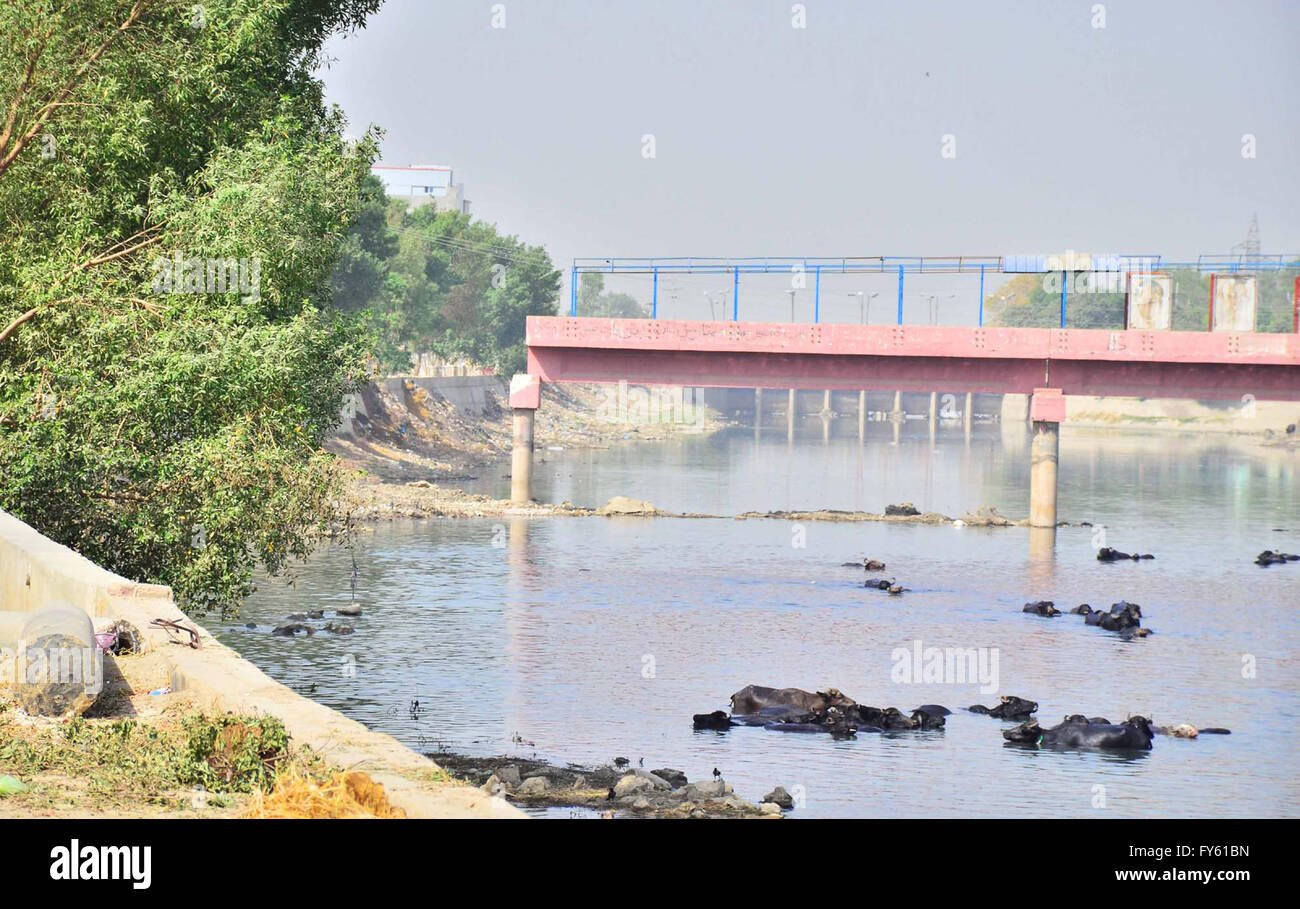 Rice Canal Bridge